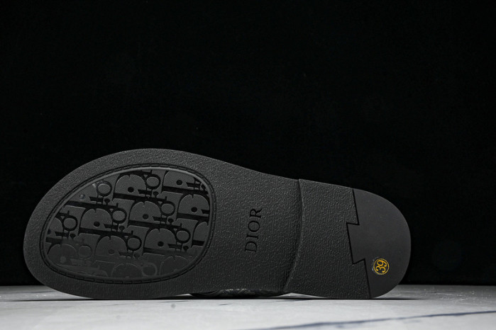 D1R* SLIDE copshoe DR-SLIDE 016