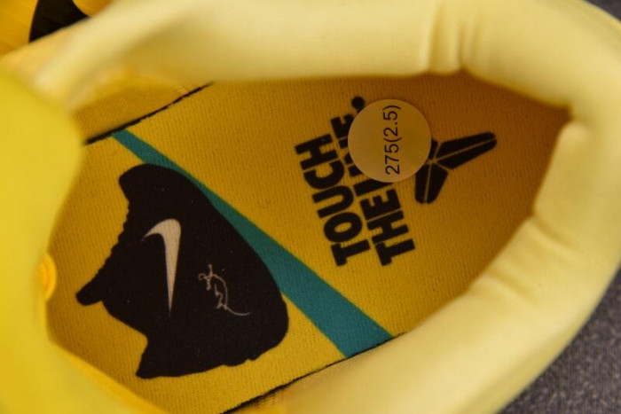 Nike Kobe 4 Protro CHBL Men